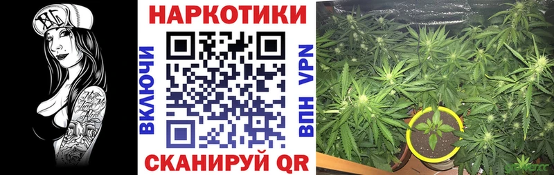 Купить закладку КОКАИН  Конопля  Лсд 25  Гашиш  Меф мяу мяу  АМФ  Елизово