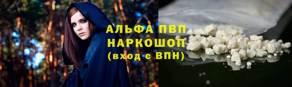 молекула духа Иннополис