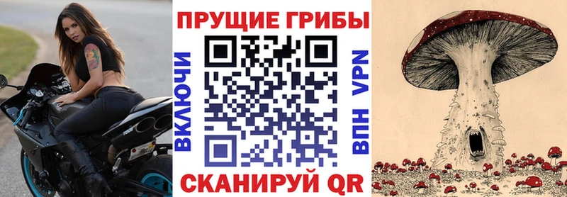 Галлюциногенные грибы Cubensis  Купить где  Елизово 